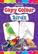 Copy Colour: Birds - Age 3-5 Years