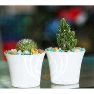 Brikkho Hat Couple Cactus Combo - 625