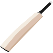 Cricket Bat - Wooden icon