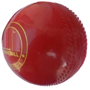 Cricket Hanging Ball icon