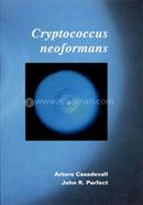 Cryptococcus Neoformans: Molecular Pathogenesis and Clinical Management