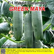 Naomi Seed Cucumber Green Maya - 1 gm