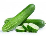 Cucumber Seed 