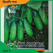 Cucumber Seeds- Type 4
