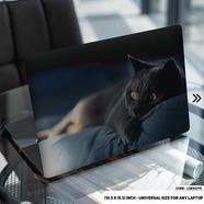 DDecorator Black Cat Sleeping Laptop Sticker - (LSKN2715)