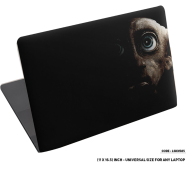 DDecorator Character of Harry Potter Laptop Sticker - (LSKN585)