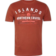 DEEN Terracotta T-shirt 183 - S SIZE