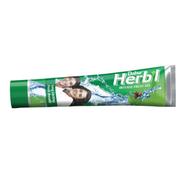 Dabur Herbal Gel Toothpaste Intense Fresh 160 gm - FC22716001B