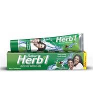 Dabur Herbal Gel Toothpaste Intense Fresh- 80g - FC227080B icon
