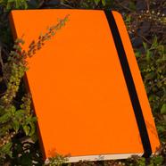 Daily Journal Orange Notebook with Elastic Band