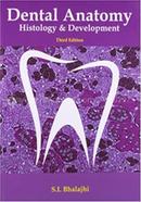 Dental Anatomy image