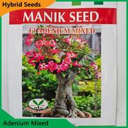 Deshi Flower Seeds- Adenium Mixed