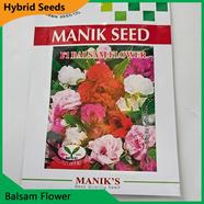 Deshi Flower Seeds- Balsam Flower