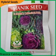 Deshi Flower Seeds- Brassica Cabbage Flower icon