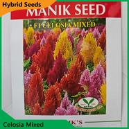 Deshi Flower Seeds- Celosia Mixed