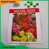 Deshi Flower Seeds- Dahlia Mixed