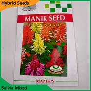 Deshi Flower Seeds- Salvia Mixed