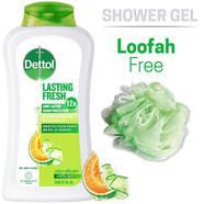 Dettol Antibacterial Bodywash Lasting Fresh 250ml Loofah Free - 3195700