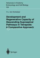 Development and Regenerative Capacity of Descending Supraspinal Pathways in Tetrapods: A Comparative Approach