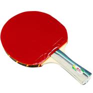 Double Fish Table Tennis Bat 1 Pcs - 2a-C