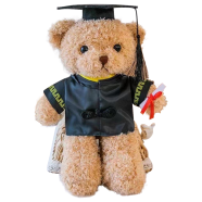 Dr. Bear Soft Doll (Any Color) - RI SD18