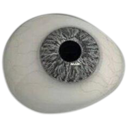 Dreamgirls Venice Gray Color Contact Lens
