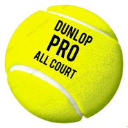 Dunlop Pro Professional Tennis Ball All Court Sports For Practice (tenis_dunlop_3pcs_proallcourt) Multicolor - 3 Pcs - 182778361 icon