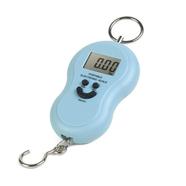 Electronic Portable Digital Hook Scale Hanging Scale Weight Machine (multicolor).