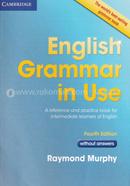 English Grammar In Use image