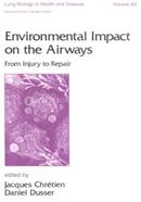 Environmental Impact on the Airways