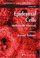 Epidermal Cells