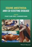 Equine Anesthesia and Co-Existing Disease 