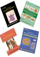 Essentials of Human Anatomy (Set of Vols 1, 2, 3, and 4)