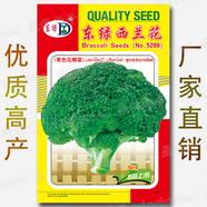 F1 Hybrid Broccoli Seeds For Gardening 