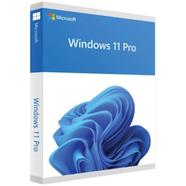 FQC-10528-WIN PRO 11 64B ENG INTL 1PK DSP OEI image