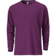 Fabrilife Mens Premium Blank Full Sleeve T-Shirt - Purple