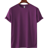 Fabrilife Mens Premium Blank T-shirt - Purple