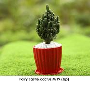 Brikkho Hat Fairy Castle Cactus Medium Size - 332