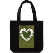 Fashionable Tote Bag For Girls - BDS-151
