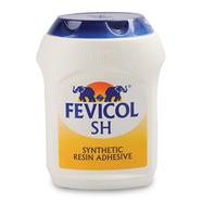 Fevicol Synthetic Resin Adhesive - 50gm icon