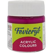 Fevicryl Students Fabric Colour Magenta 15ml
