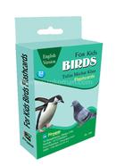 For Kids Birds Flashcards - English Version