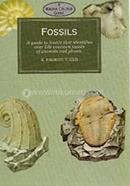 Fossils