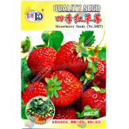 Four Seasons Strawberry Seeds Re-Pack - 0.1gm