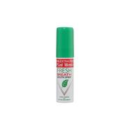 Fresh Breath Mint Mouth Spray 18 ml (UAE) - 139700971