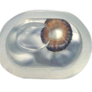 Freshlook Brown Color Contact Lens - F5