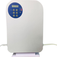 Fruit Vegetable Cleaner Disinfection Machine 