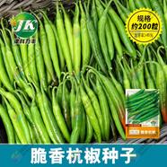 Giant Chili Seeds - 10 Seeds