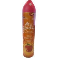 Glade Warm Winter Hug Air Freshener 300 ml - 139700876