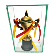 Glass and Plastic Cricket Mini Trophy